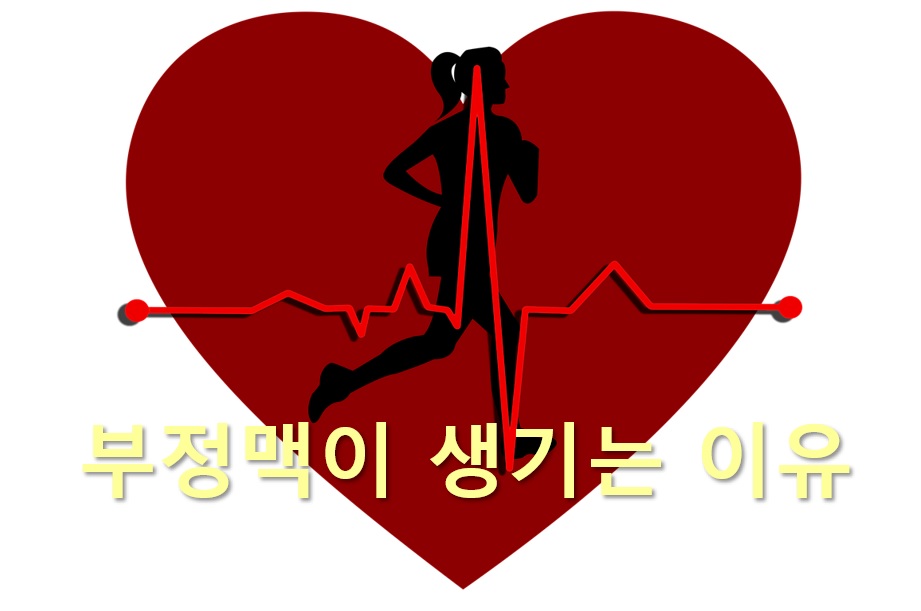  부정맥이 왔을 때 대처 방법과 부정맥이 생기는 이유