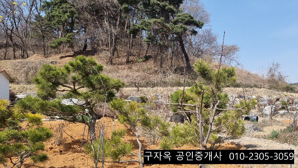 강화도농원 접근성이 좋은 강화읍농원 256평 2억1500만원 강화도부동산 6
