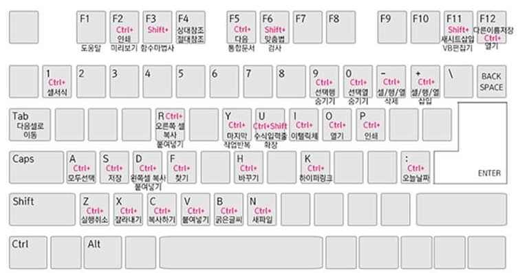  엑셀 초보가 꼭 봐야하는 단축키