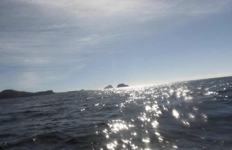 제주버스노선 2020.09 제주 800번 800-1번 제주버스노선 2020.09 제주 800번 800-1번