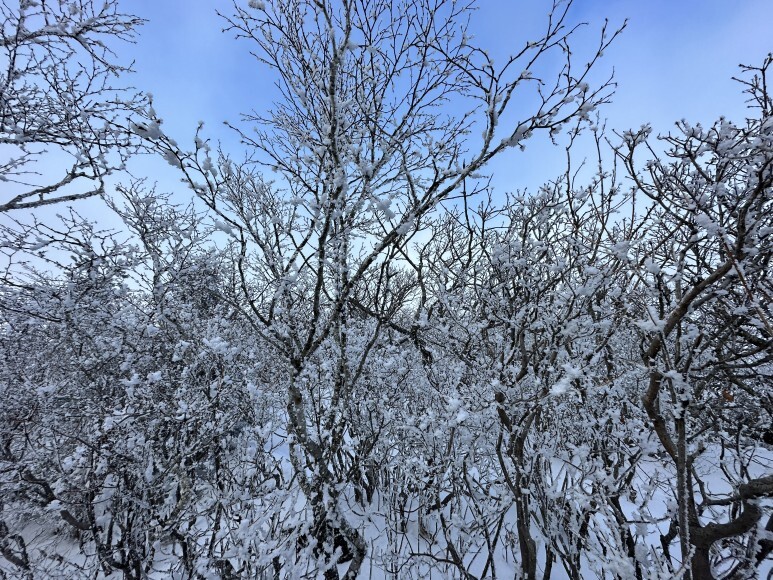 덕유산 등산코스 상고대