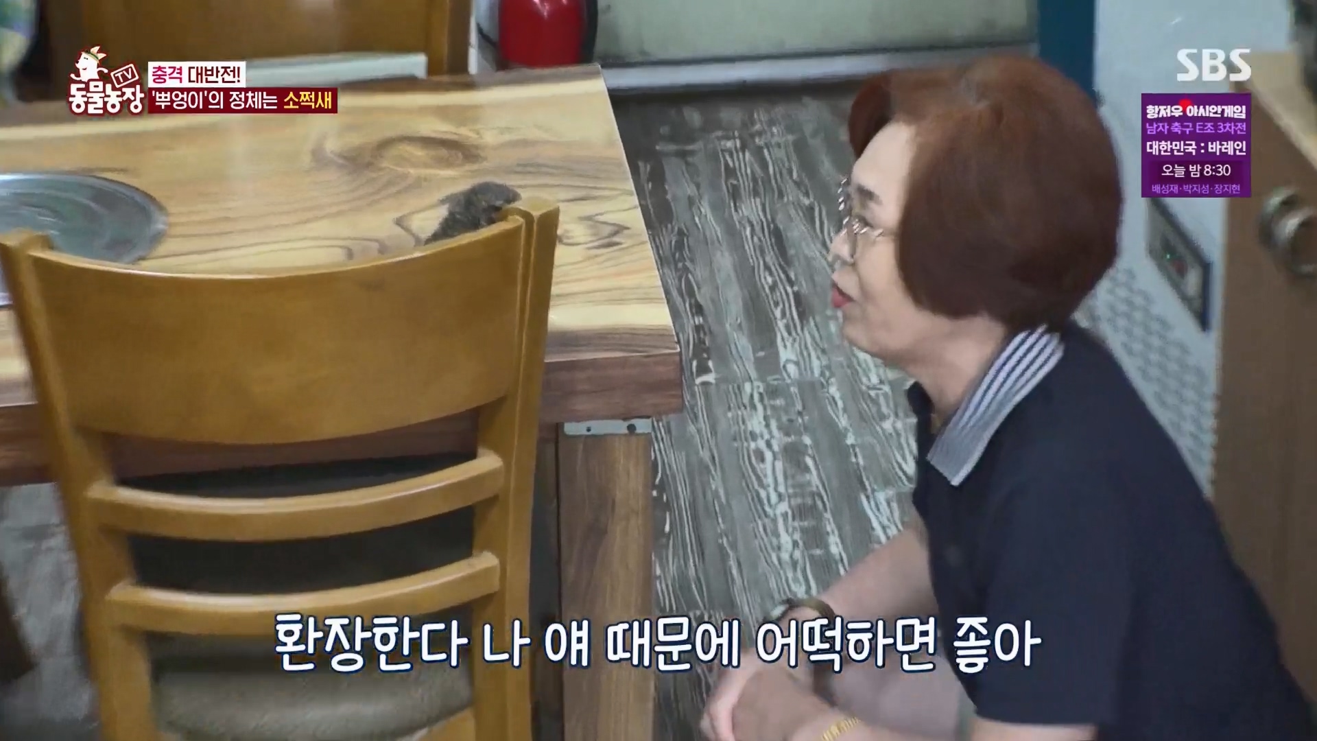 TV 동물농장.E1139.230924p.H264-F1RST.mp4_20230924_170652.389.jpg