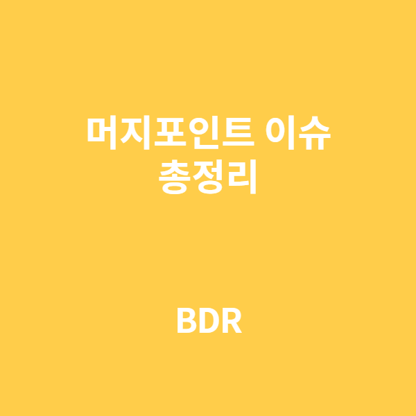  머지포인트 사건 총정리