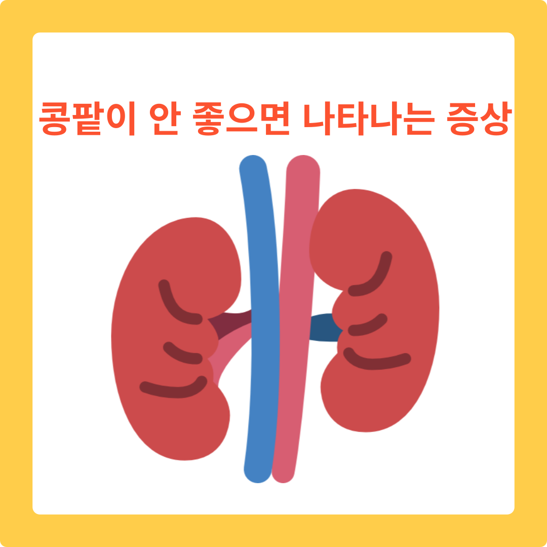  콩팥이 안 좋으면 나타나는 증상