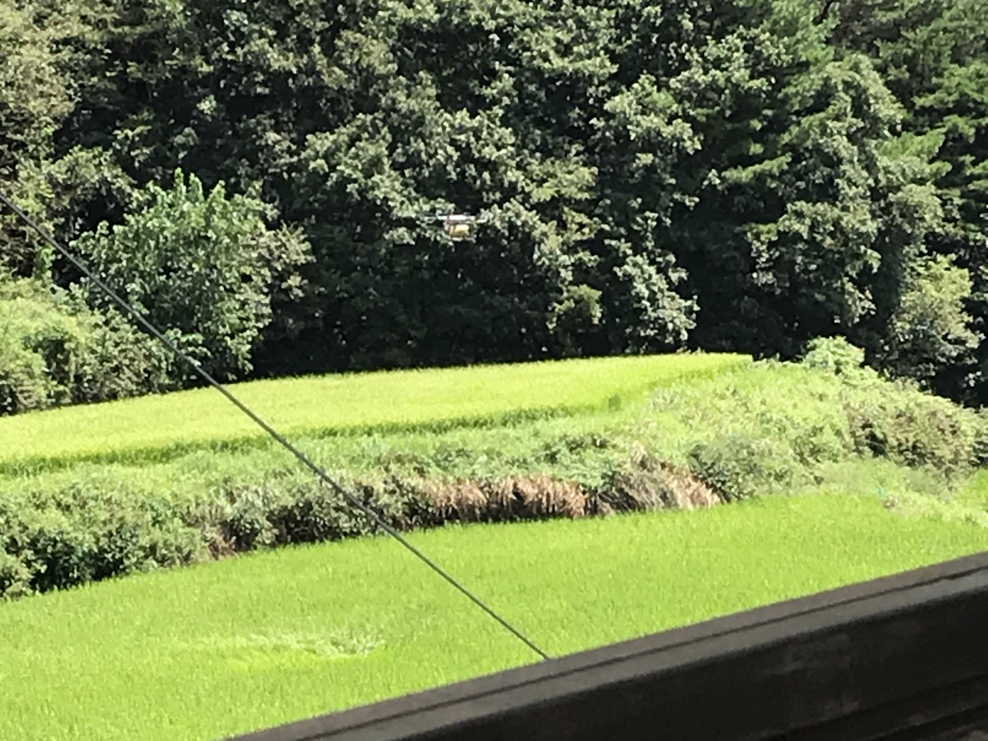  드론으로 농약 살포 장면을 봤다.