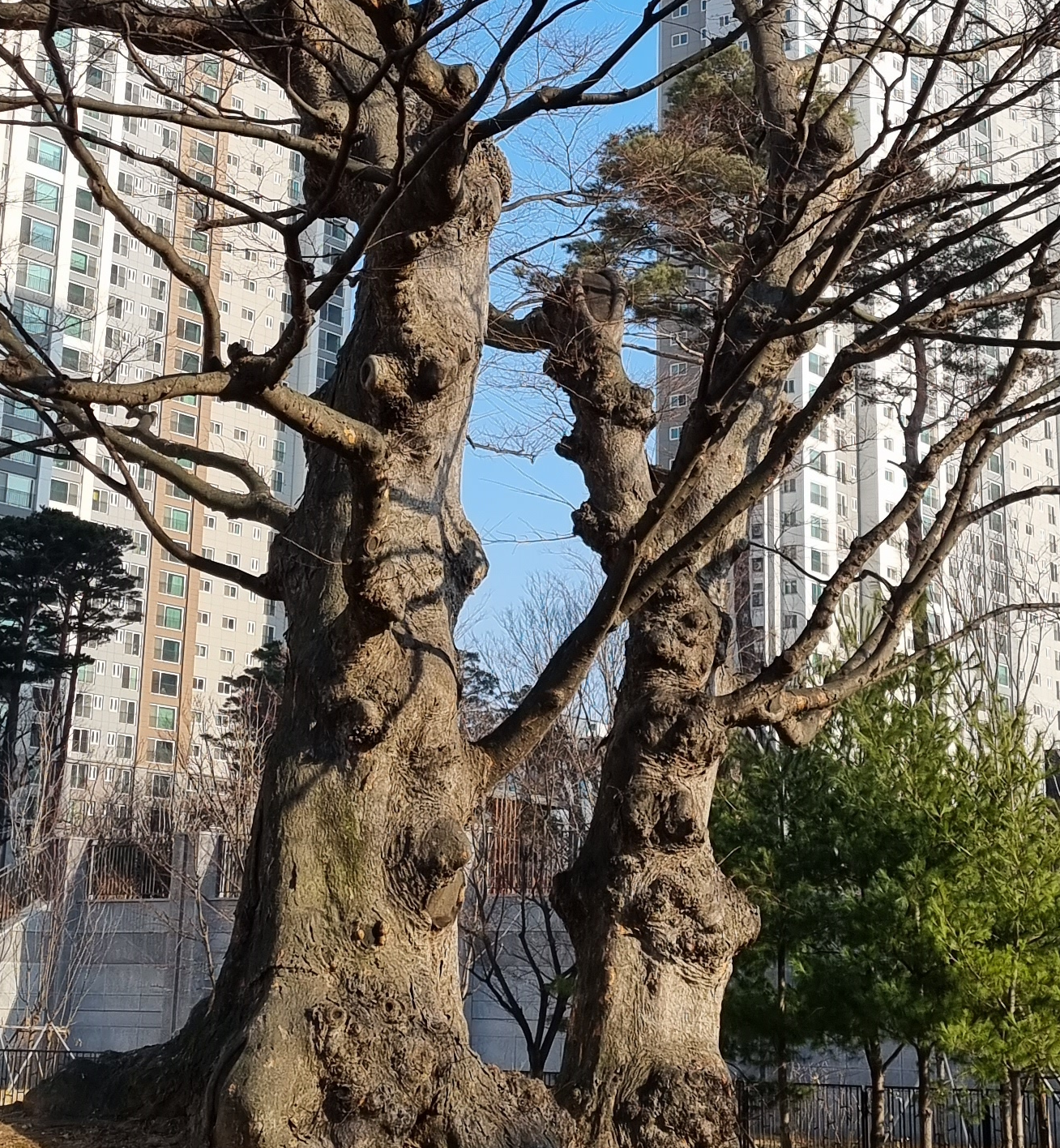  진리는 시원한 물 한잔 입니다