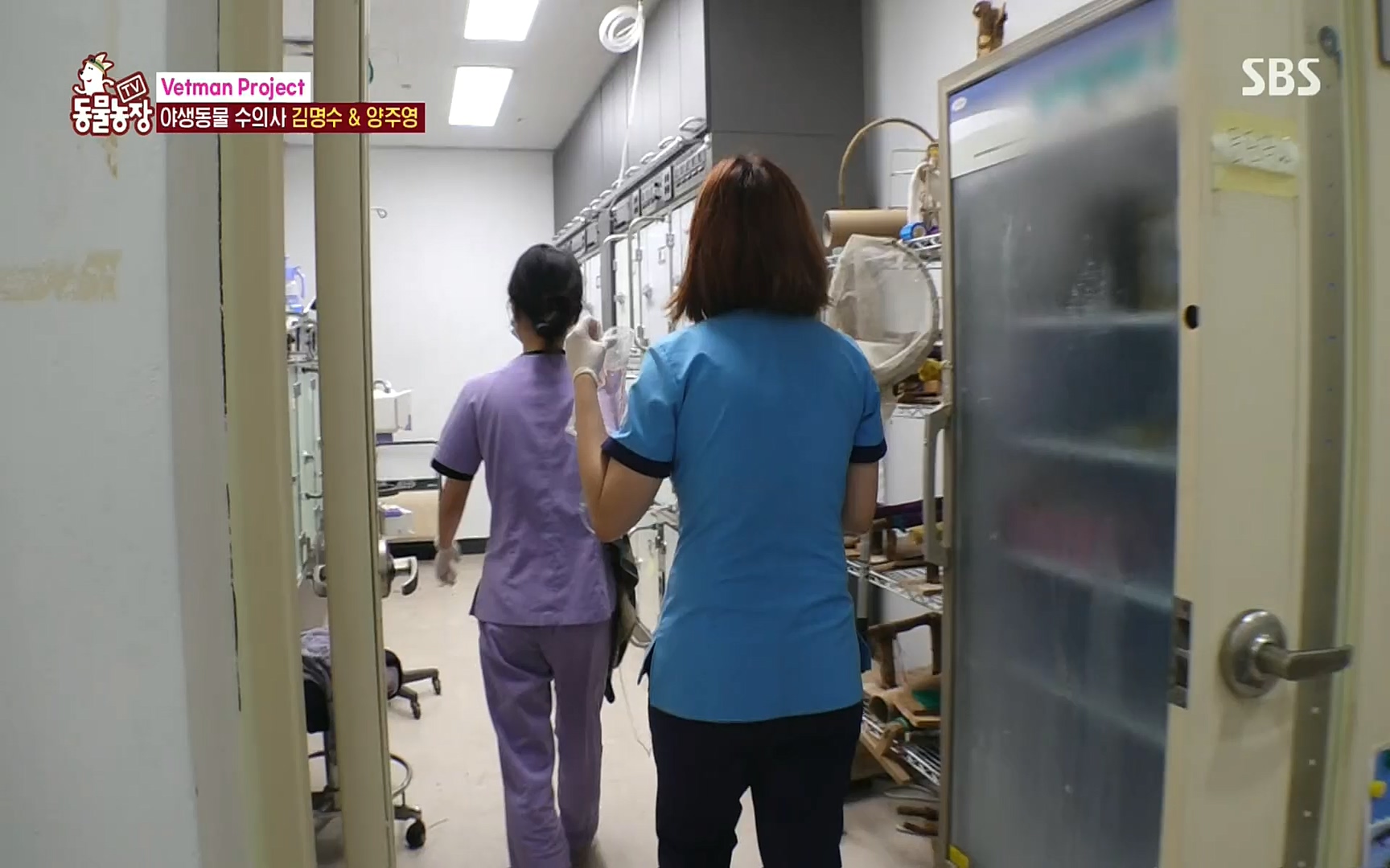 TV 동물농장.E1081.220807p.H264-F1RST.mp4_20220807_213628.589.jpg