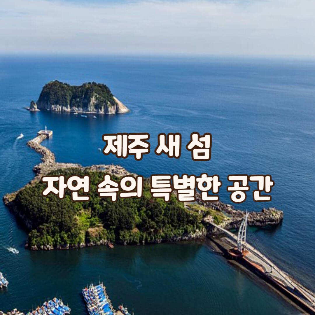 새섬