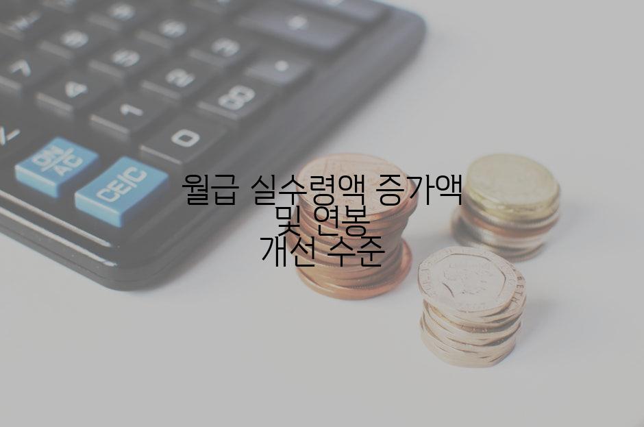 월급 실수령액 증가액 및 연봉 개선 수준