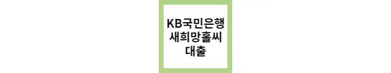  KB 국민은행 새희망홀씨 신용대출