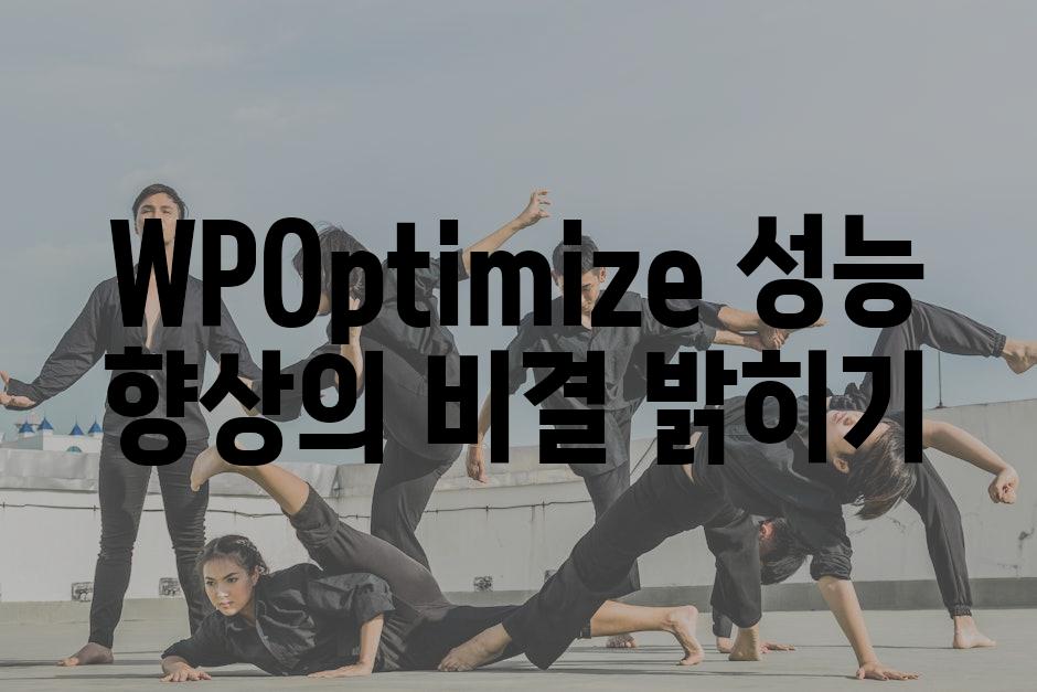 WP-Optimize| 성능 향상의 비결 밝히기