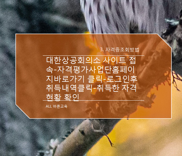 워드프로세서 자격증 발급기관 워드프로세서 자격증 조회