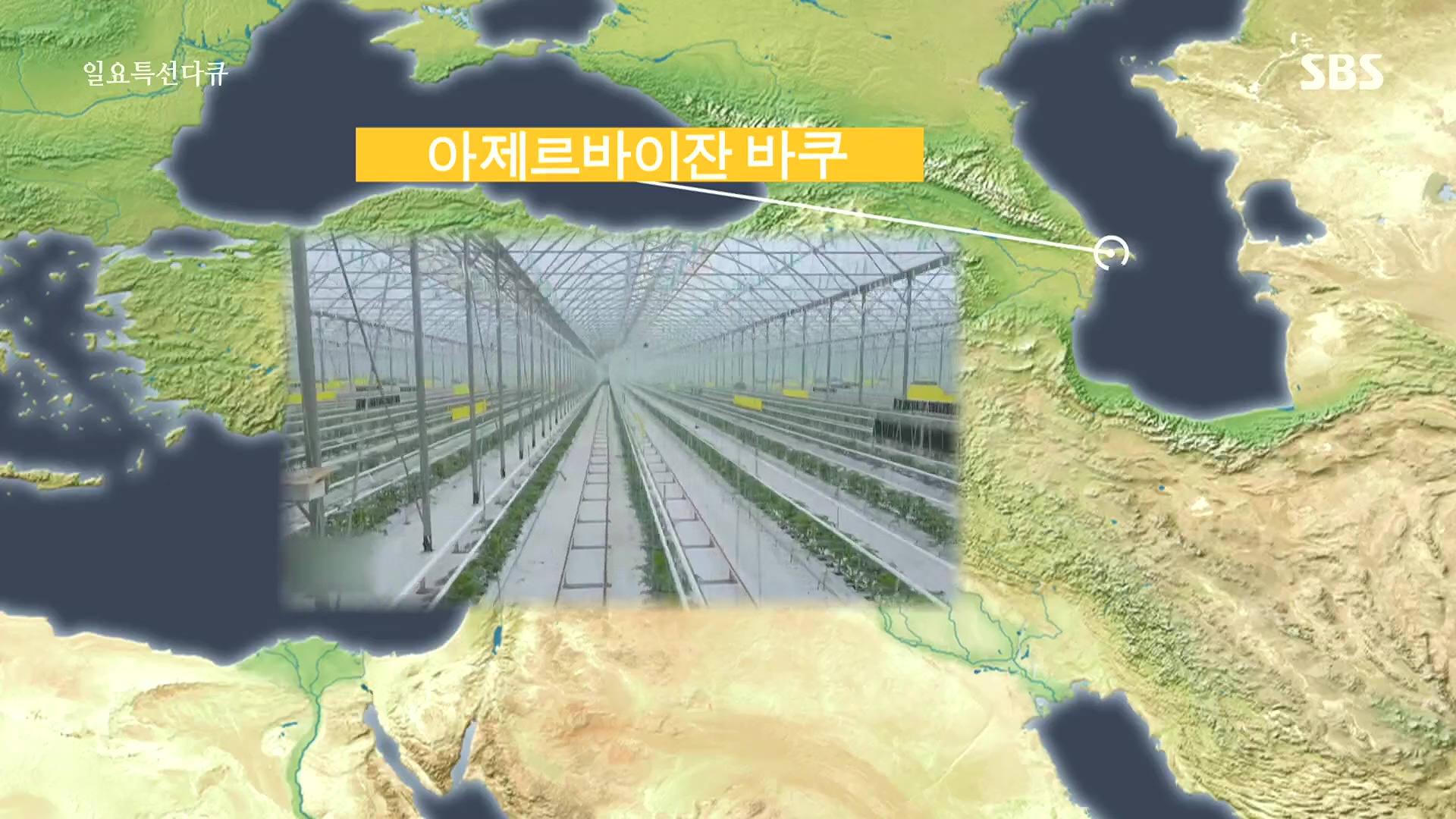 일요 특선 다큐멘터리.E348.240804p.H264-F1RST.mp4_20240805_195227.727.jpg