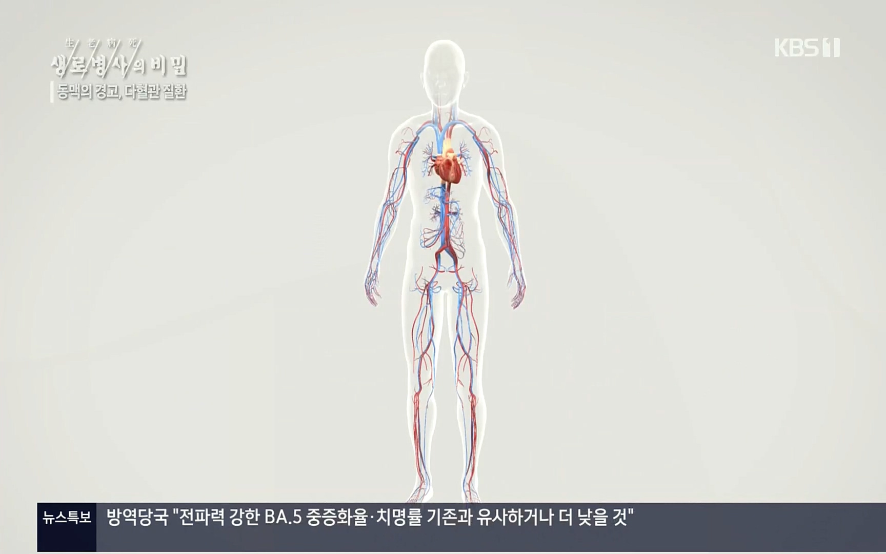 생로병사의 비밀.E831.220817p.H264-F1RST.mp4_20220822_182330.578.jpg