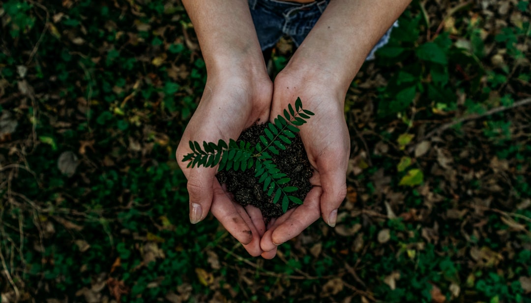 Planting