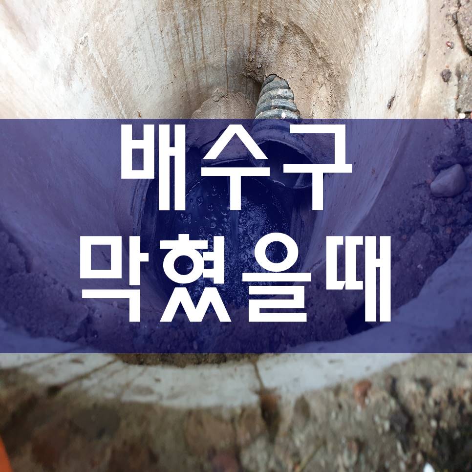  배수구막혔을때 배수구청소 하수구막힘비용 싱크대뚫는업체