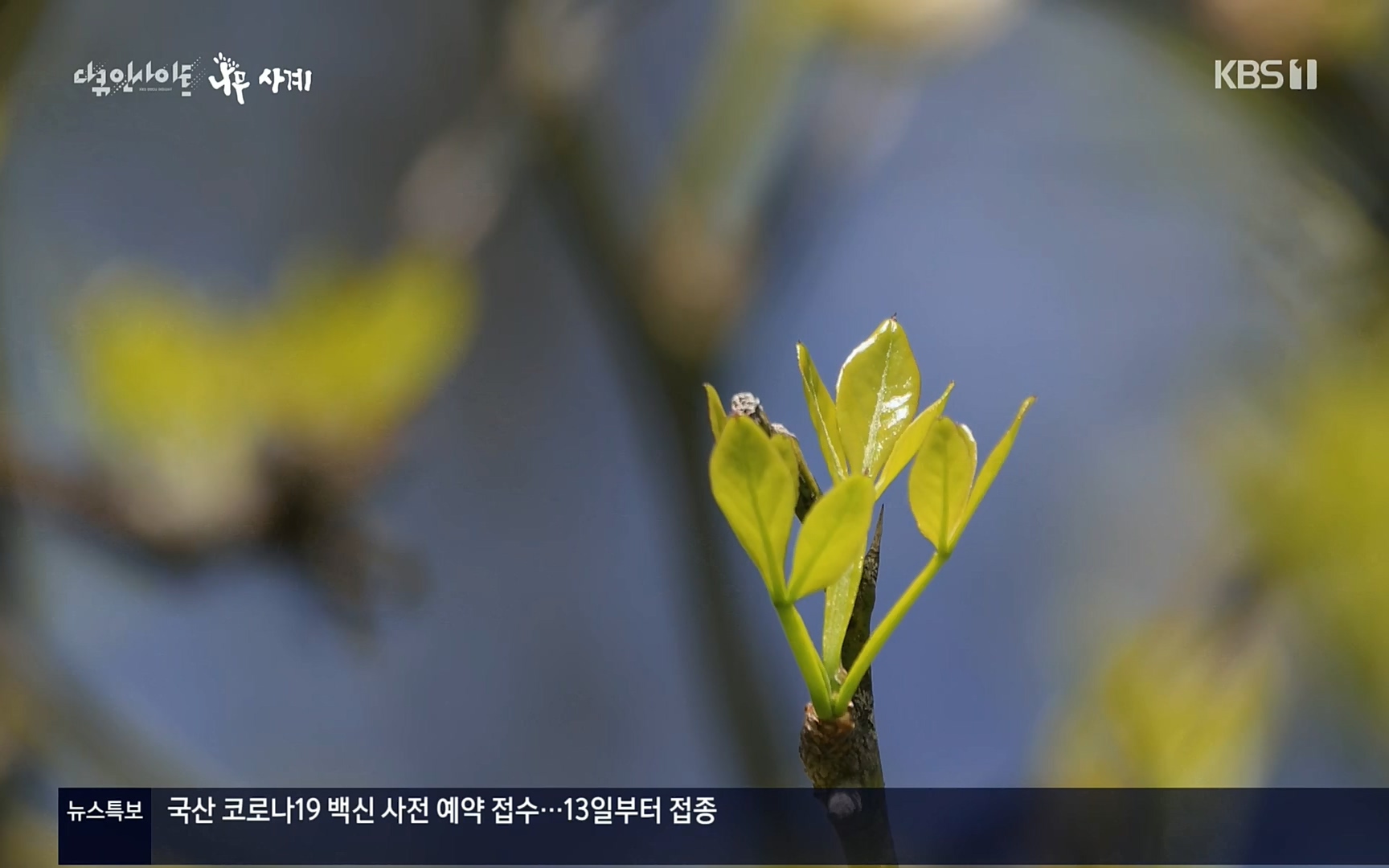 다큐 인사이트.E124.220908p.H264-F1RST.mp4_20220912_143729.670.jpg