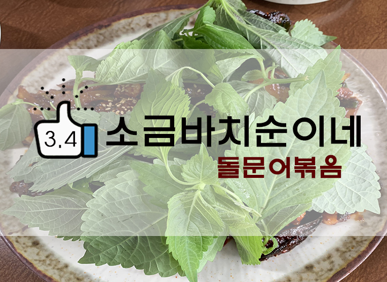  제주 구좌 소금바치 순이네 돌문어볶음