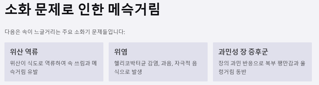 소화 문제로 인한 메슥거림