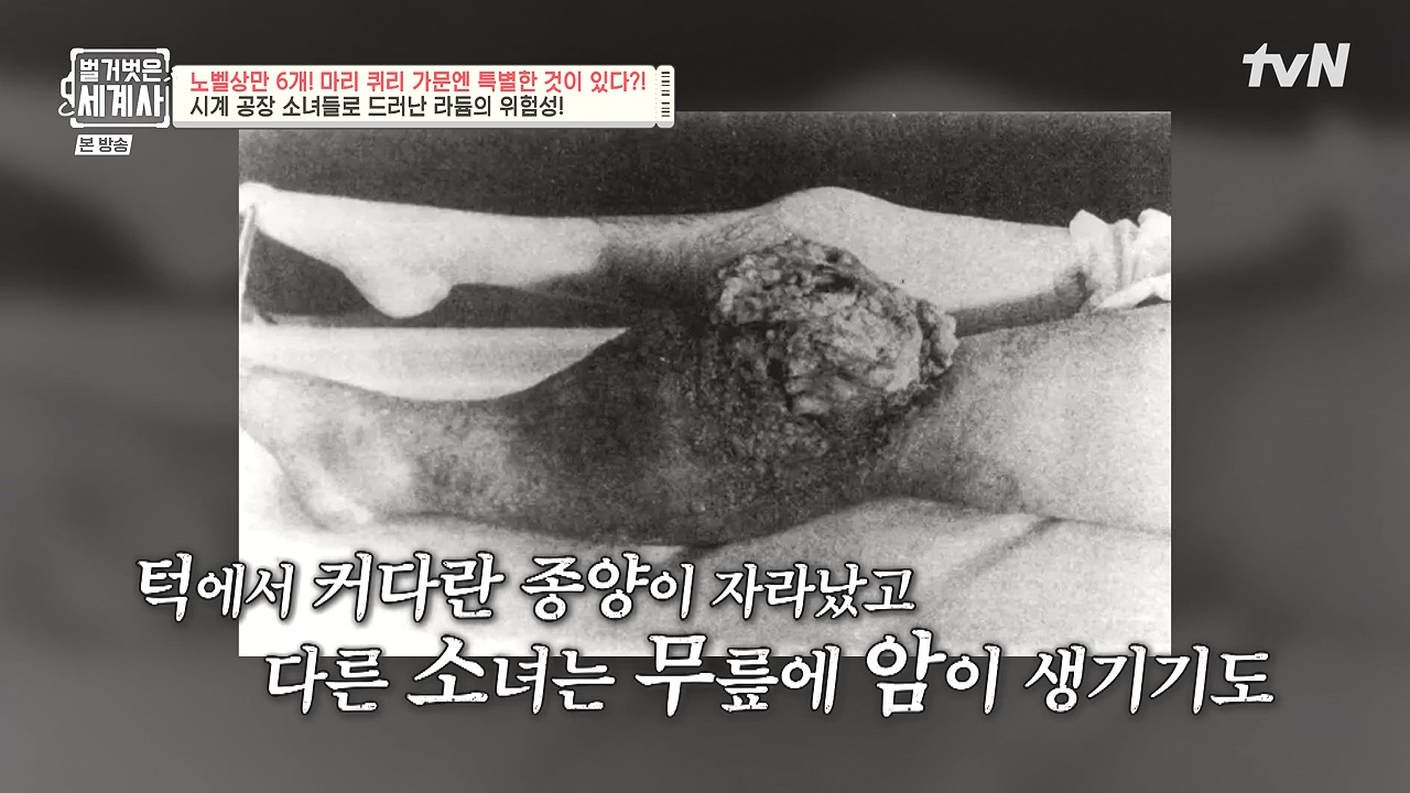 벌거벗은 세계사.E136.240131p-NEXT.mp4_20240728_165621.531.jpg