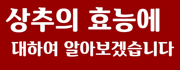 상추의 효능에 대하여 알아보겠습니다