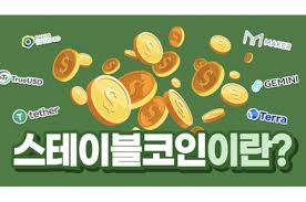 스테이블코인-투자 가능한가요? -송금용