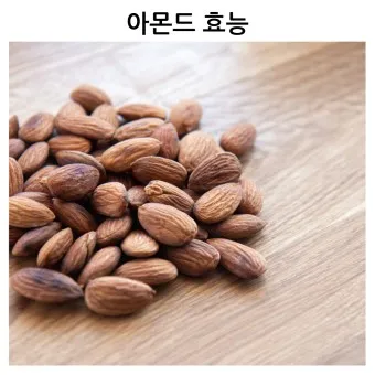 아몬드 효능 하루 섭취량 칼로리_14