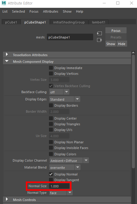Normal Size 설정 이미지