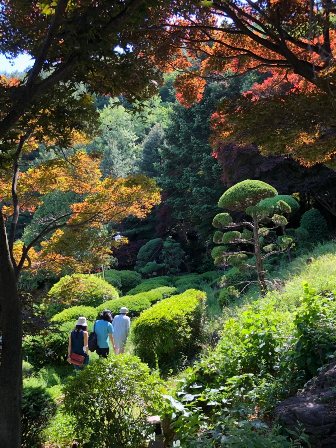 우드페커-산책로