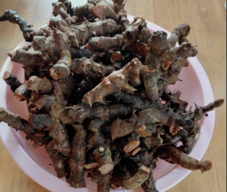  토복령 효능