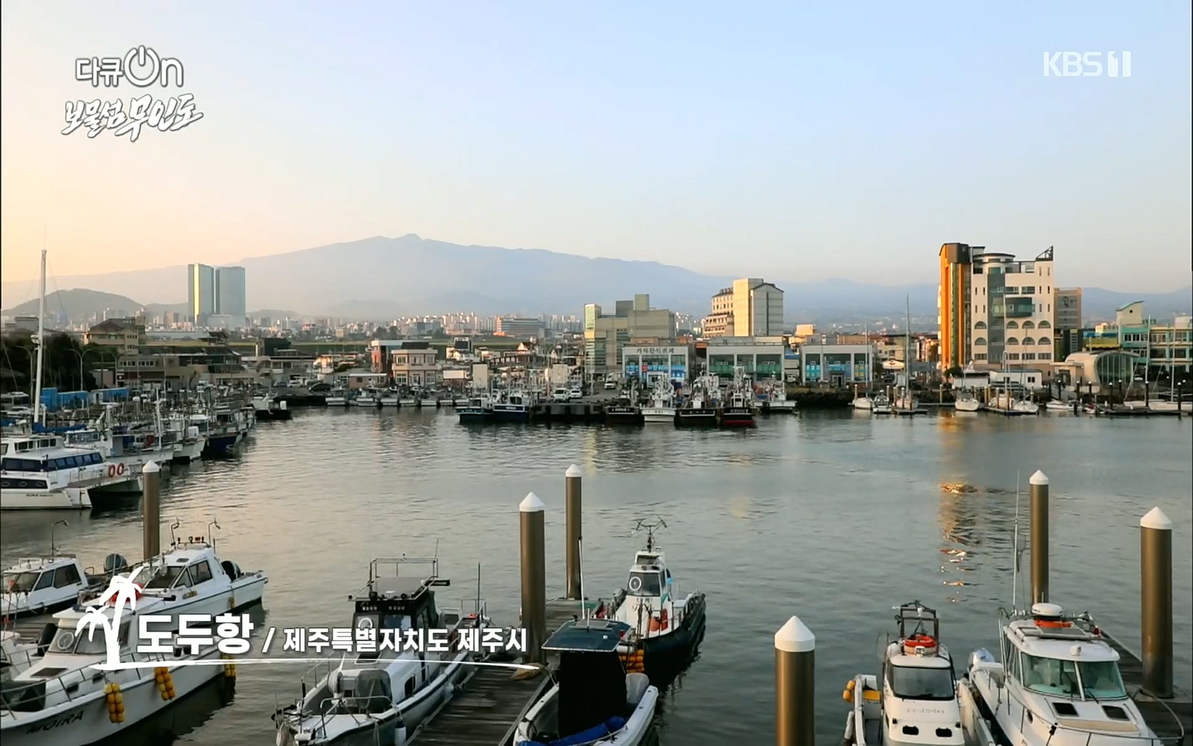 다큐 On.E141p.H264-F1RST.mp4_20220530_200503.739.jpg