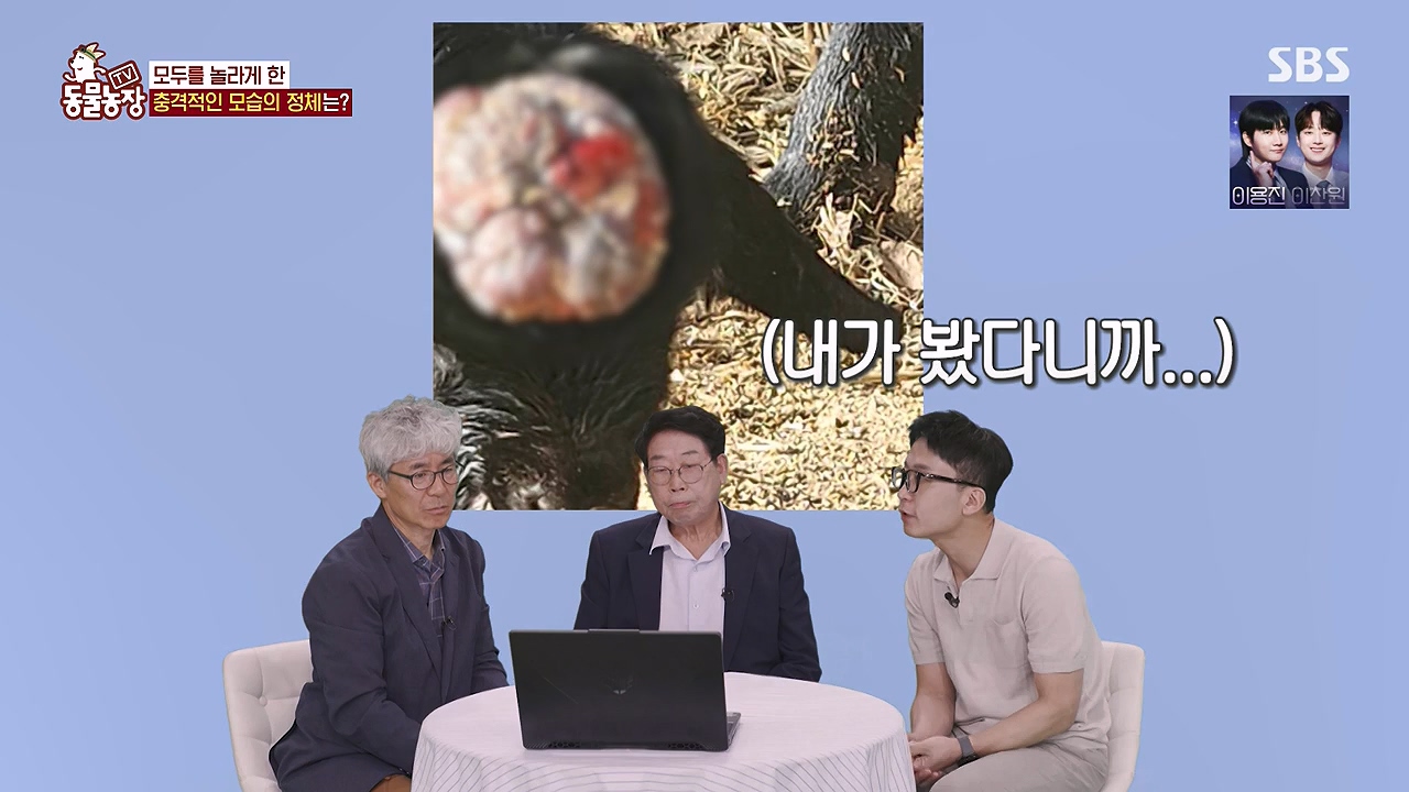 TV 동물농장.E1179.240708p-NEXT.mp4_20240707_160429.454.jpg