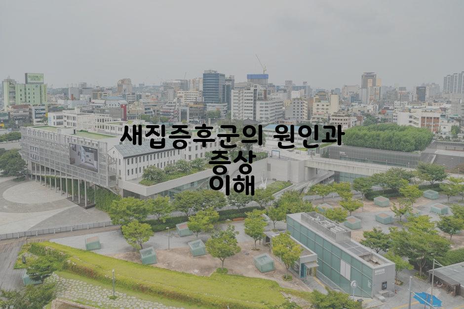 새집증후군의 원인과 증상 이해