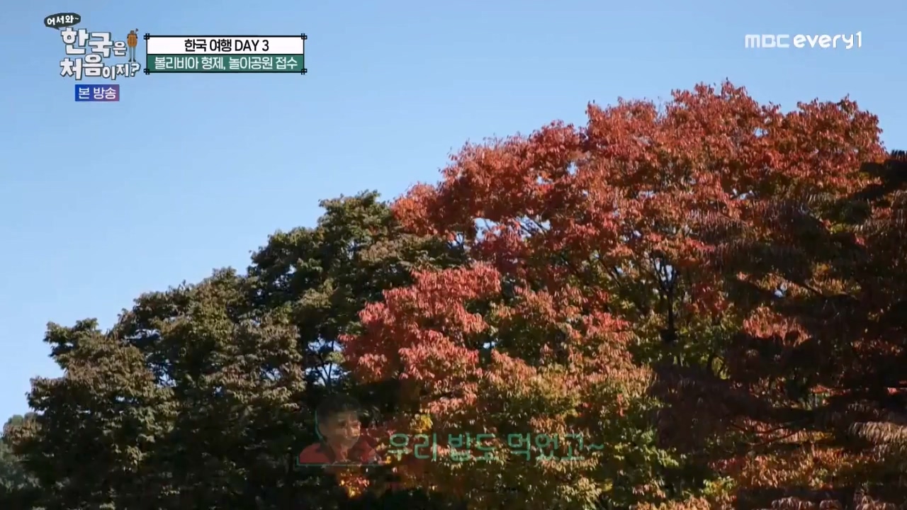 어서와 한국은 처음이지 시즌2.E291.231131p-NEXT.mp4_20231201_202434.866.jpg