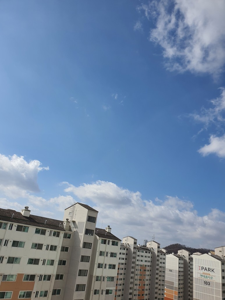 생생이 이미지