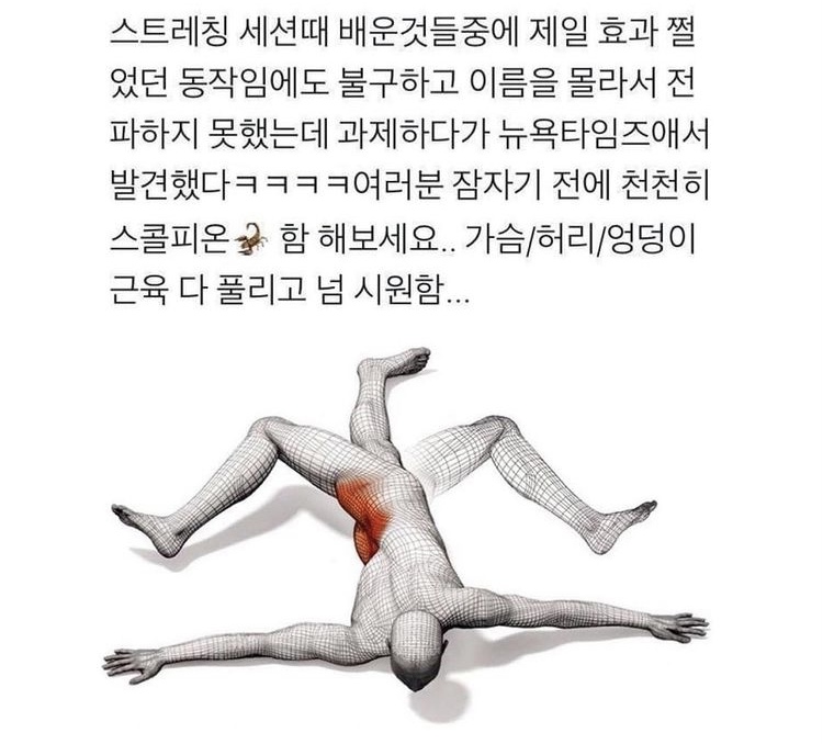 근육 푸는데 효과 좋은 스콜피온 자세