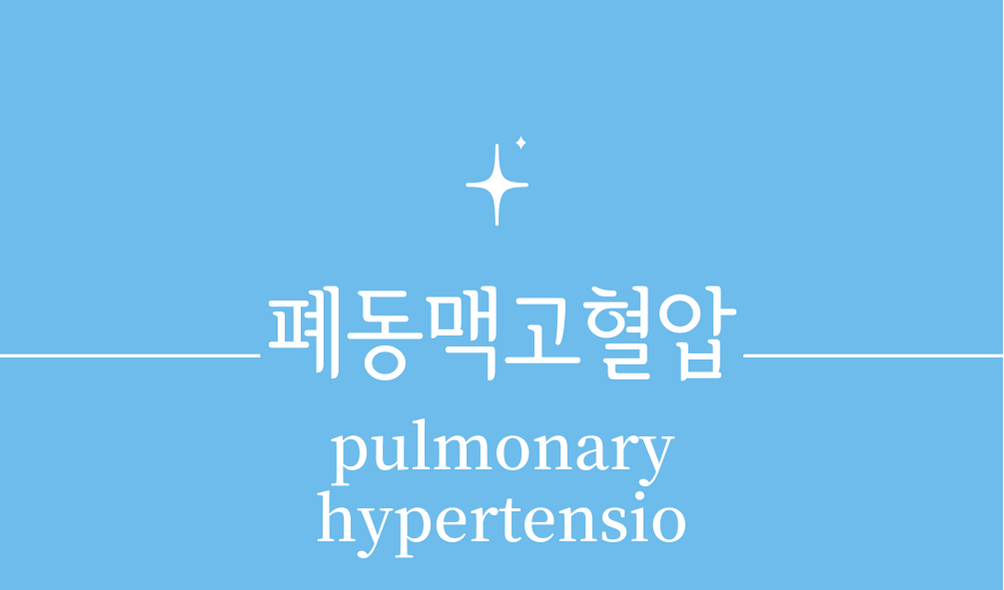 &#39;폐동맥고혈압(pulmonary hypertensio)&#39;