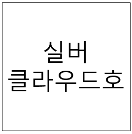  실버 클라우드호