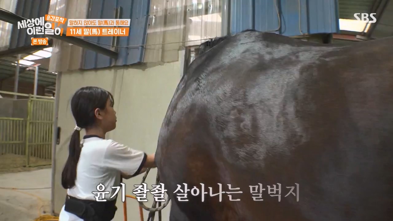 순간포착 세상에 이런일이.E1240.230806p-NEXT.mp4_20230806_161416.260.jpg