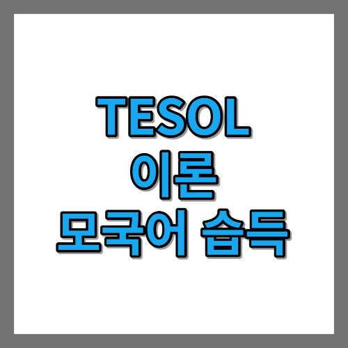 [TESOL 이론] 모국어 습득