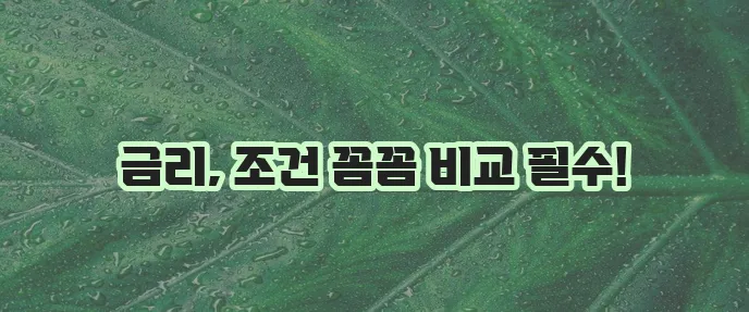 국민은행 중고차 대출 금리 꼼꼼하게 알아봐야겠죠?