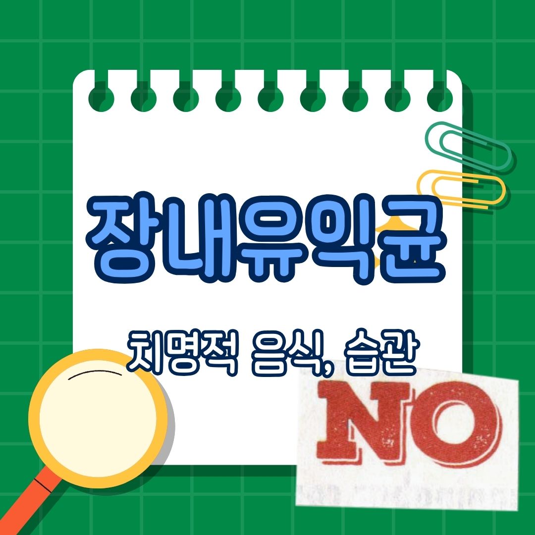 장내 유익균에 치명적인 음식, 나쁜 음식, 해로운 음식, 치명적인 습관, 나쁜 습관, 해로운 습관, 장내 유익균을 보호하기 위한 생활습관 및 대체 방법
