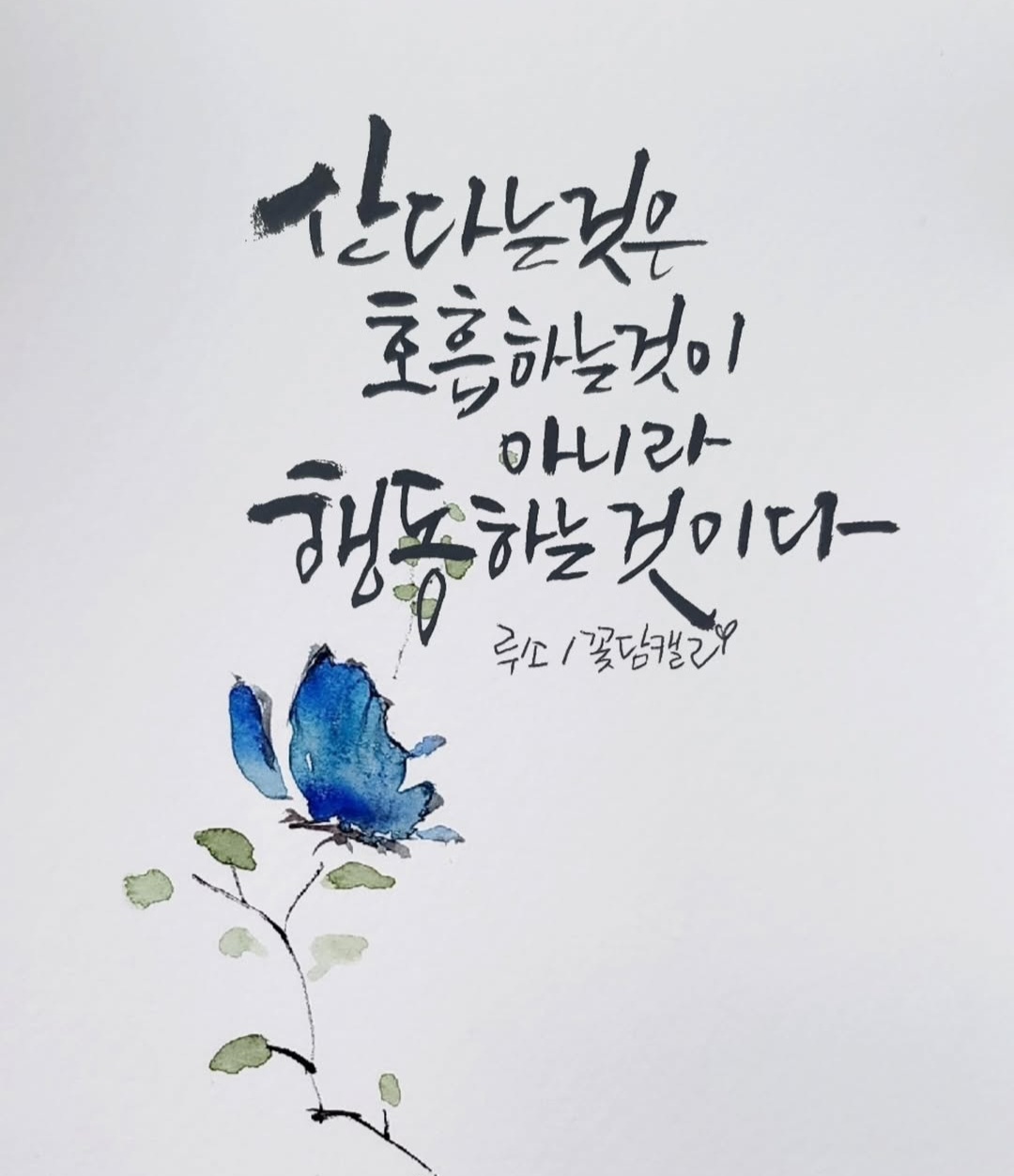 유람 이미지