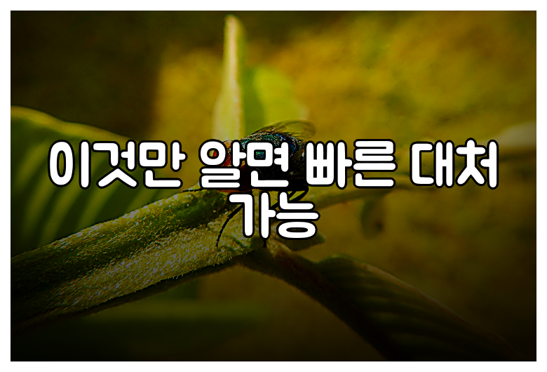 이것만 알면 빠른 대처 가능