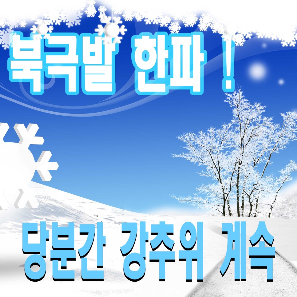 북극발 한파 '북극발 한파' 1