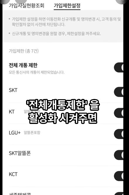 PASS 명의도용방지 서비스