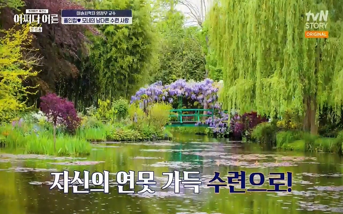 어쩌다 어른.E05.220708p-NEXT.mp4_20220904_180936.933.jpg