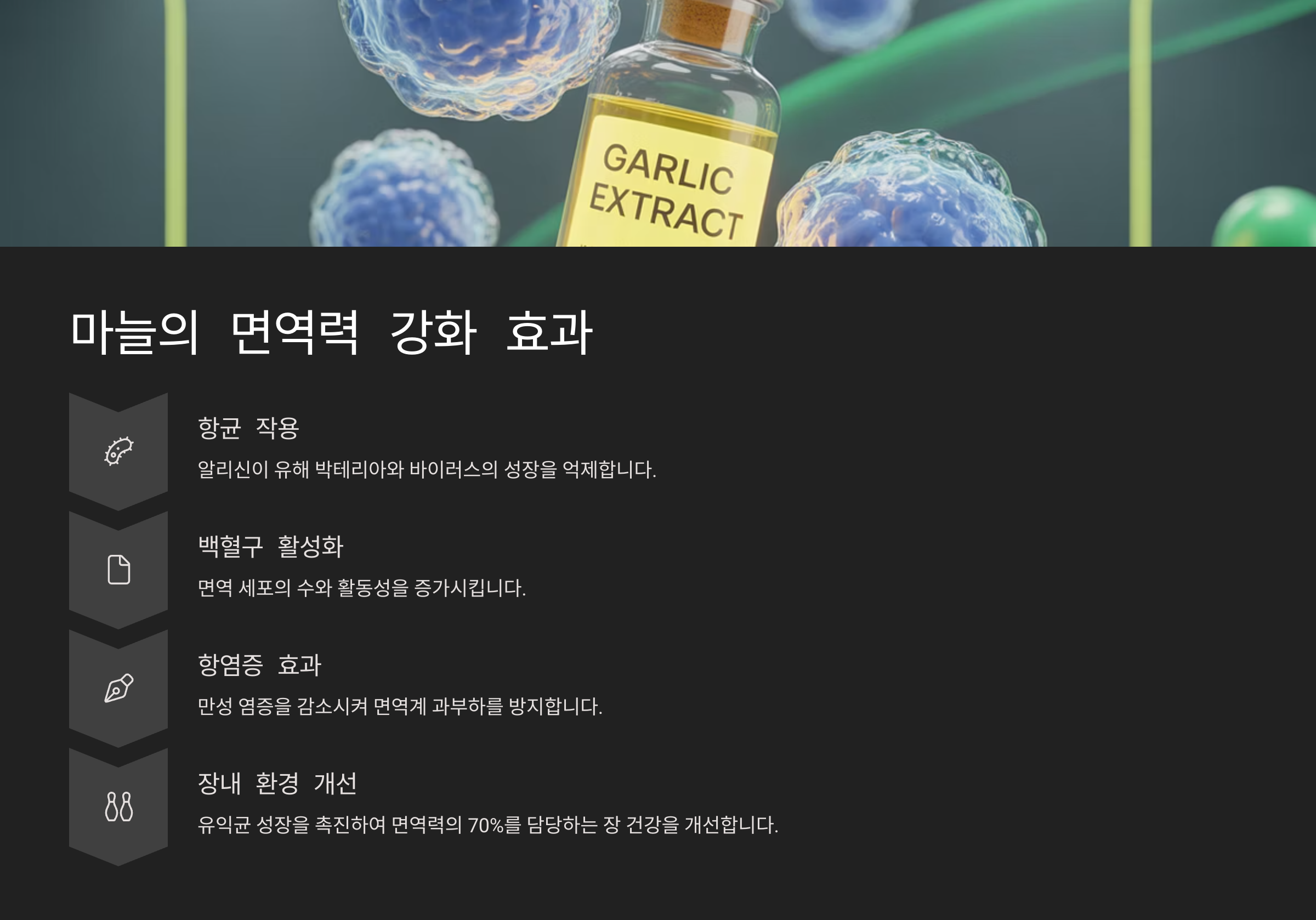 💪 마늘의 면역력 강화 효과