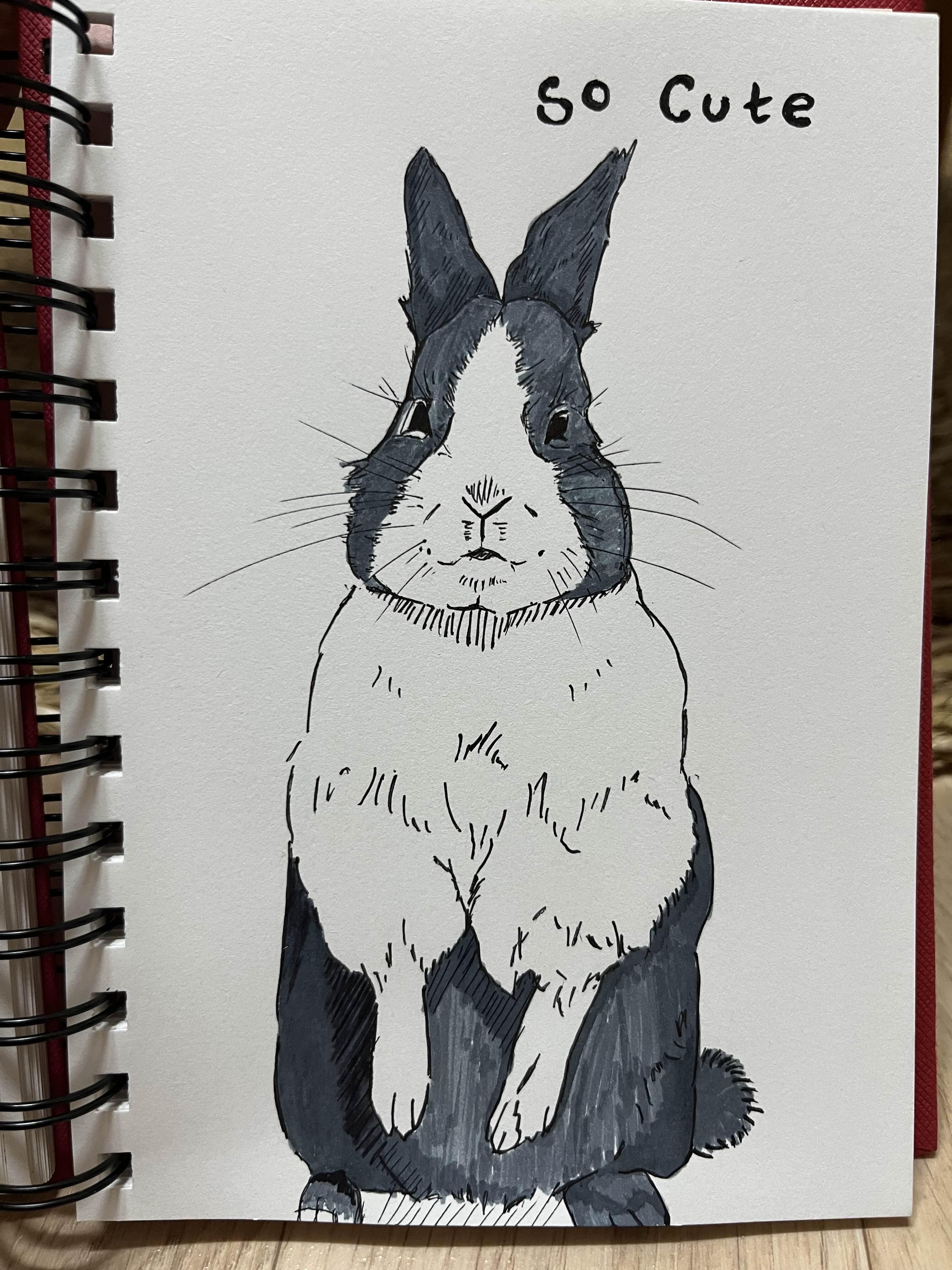  [취미생활 : 그림] 귀여운 토끼 (토끼 그림 : 펜그림)