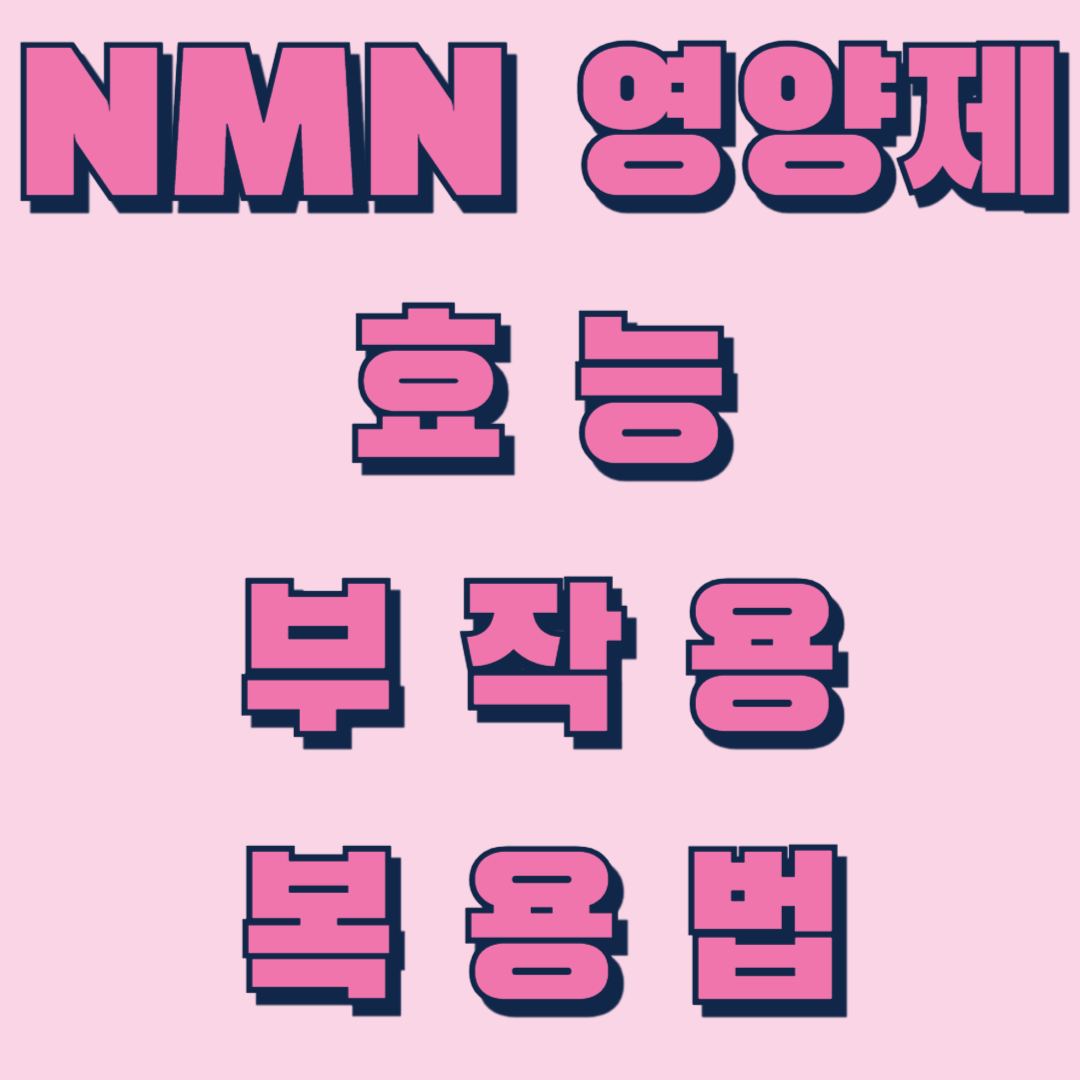NMN 영양제 효능 부작용 복용법